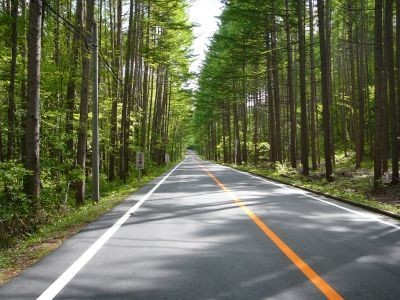 林道