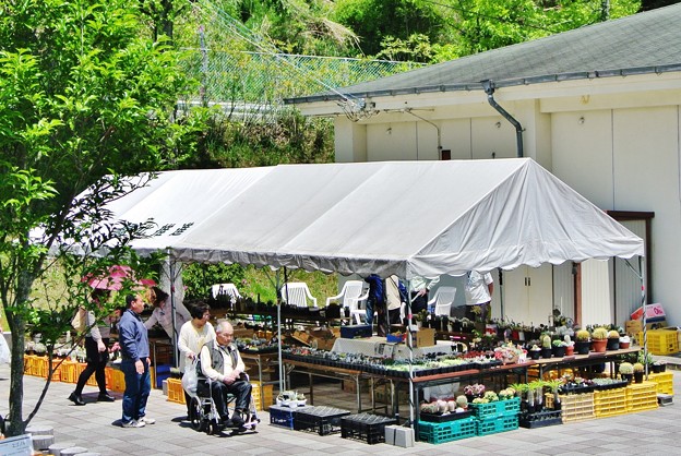 和歌山県植物公園緑化センター 写真共有サイト フォト蔵