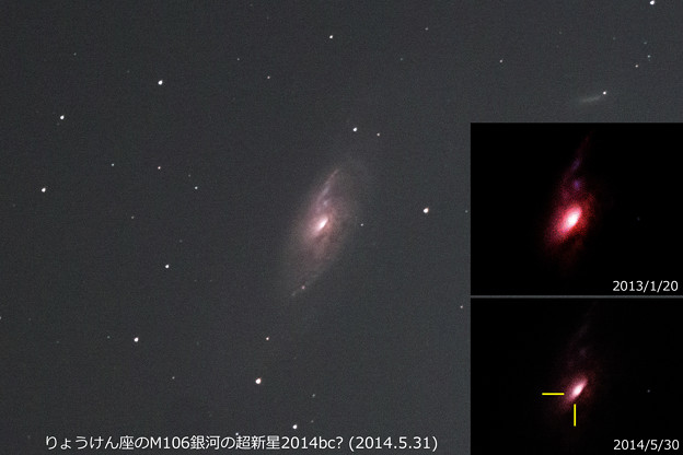 りょうけん座のM106銀河の超新星2014bc? (5/30)