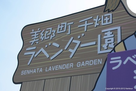 Blog_20120708_Lavendar_01