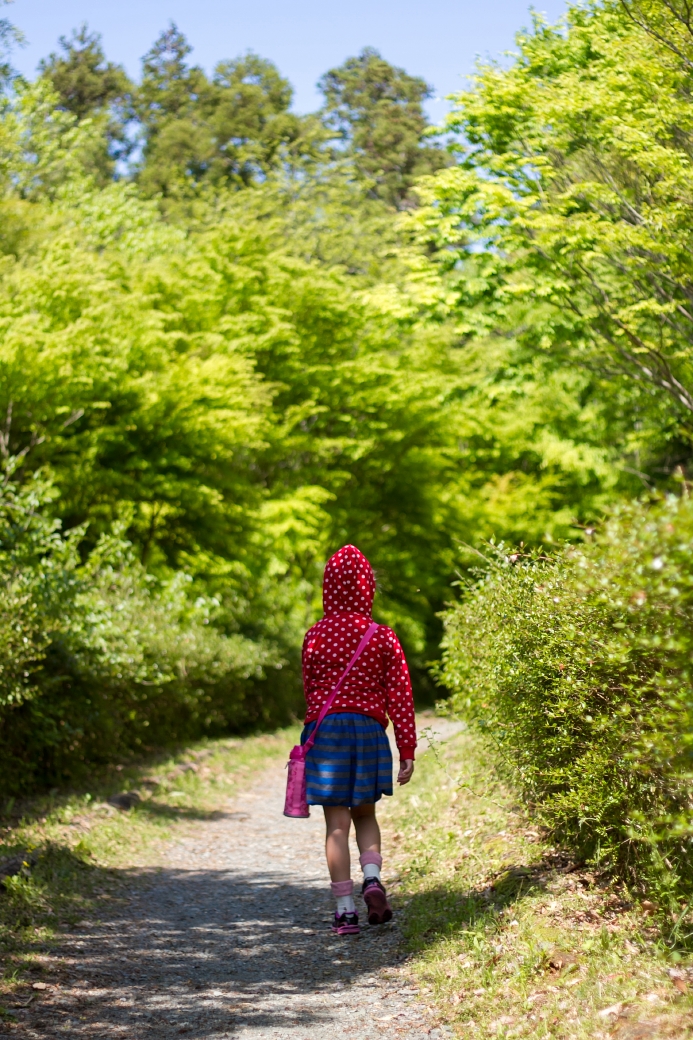 写真: IMG_3621