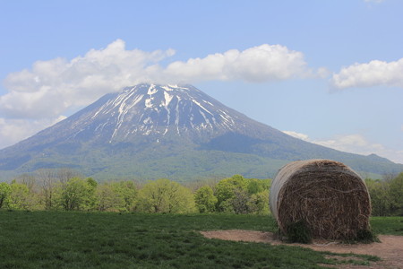 高橋牧場