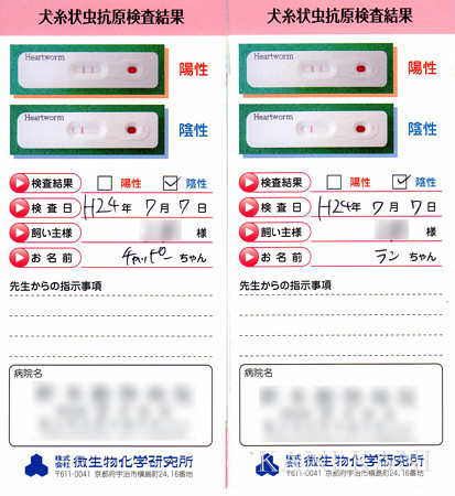 フィラリア検査1