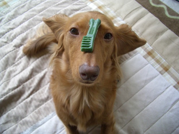 うぐぐ 我慢が 写真共有サイト フォト蔵