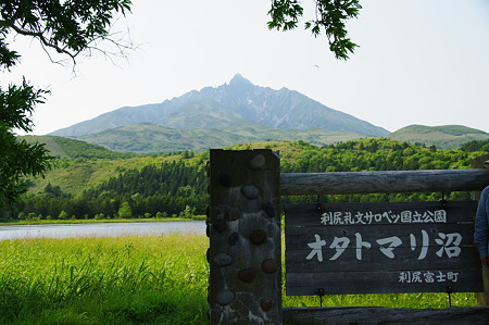 IMGP2418
