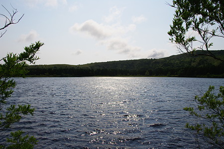 IMGP2444