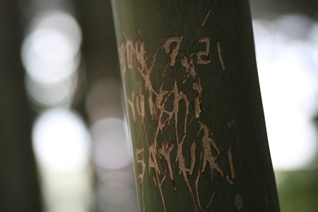 2009.03.07　報国寺　竹に落書