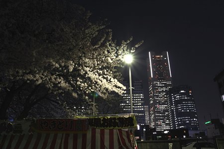2009.04.07　横浜　夜桜　掃部山公園　屋台