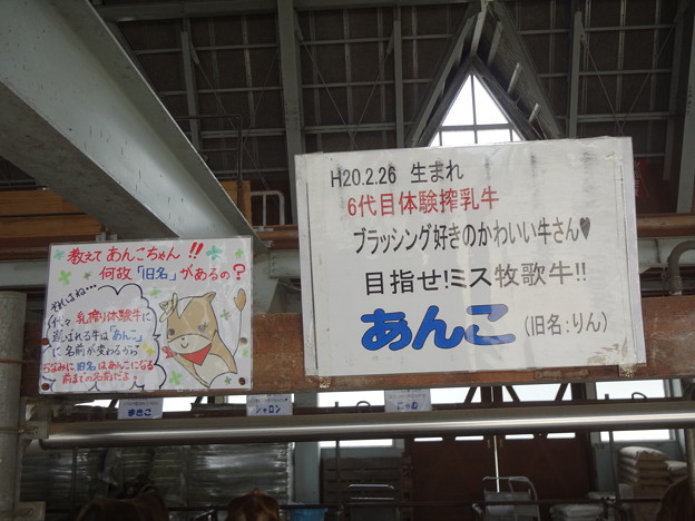 DSC08049