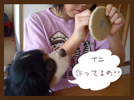 DSCN0005のコピー_edited-1