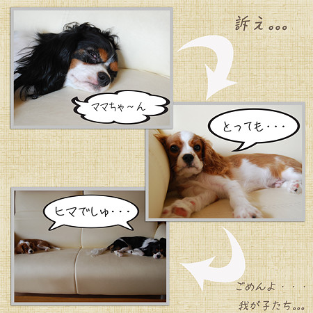 訴え
