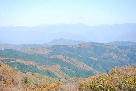 紅葉
