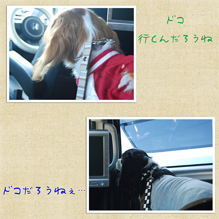 ドコだろうねぇ