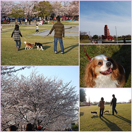 落合公園へ・・・