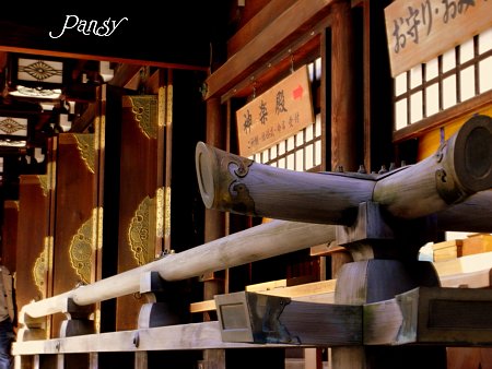 明治神宮にて・・6