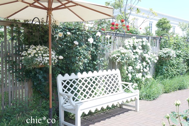 横浜 English Garden-049