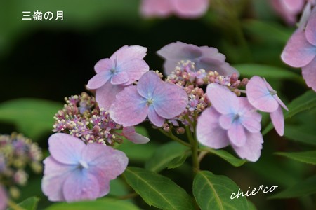 鎌倉長谷-100