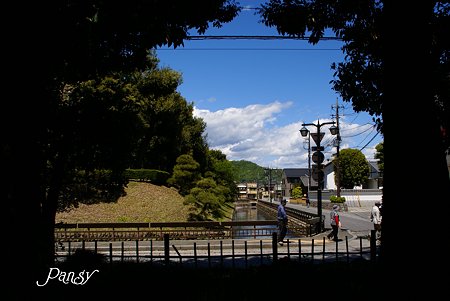 樹の間から見えた風景・・足利さんぽ~5