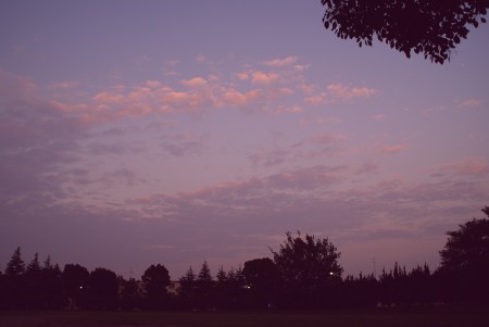 空～　トワイライト