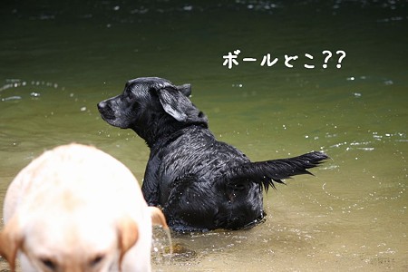 迷う