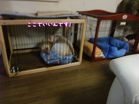 ここでいい