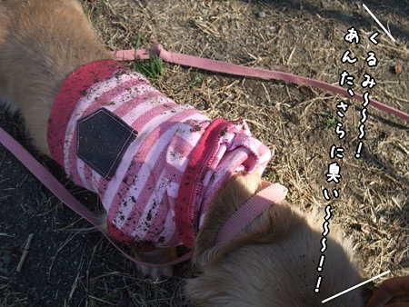 臭すぎ~~