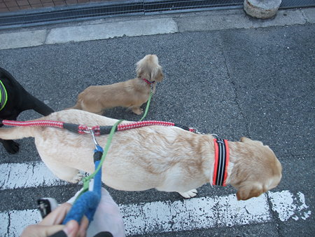 くるみ 131