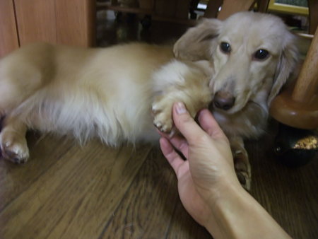 短くてかわいい手です♪