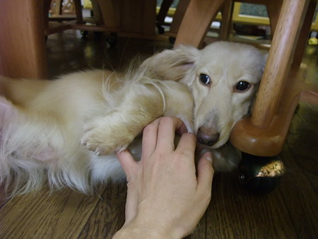 椅子の足を枕に・・・(^▽^)