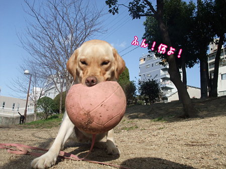 ふん!何よ!