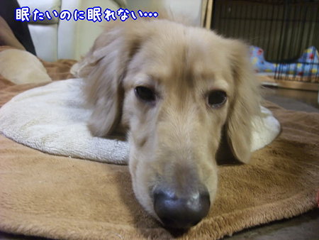 眠たいのに…