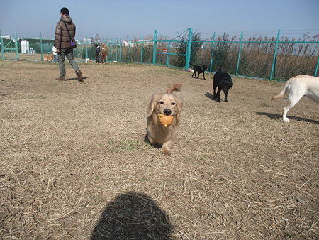 ボール遊び大好き♪