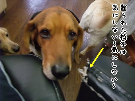 みんなあたしの周りをウロウロ…