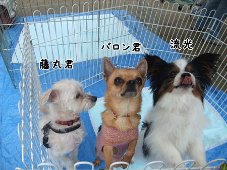 おやつで大集合