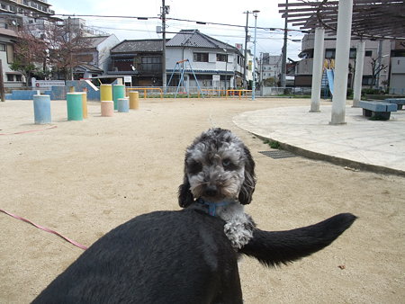 ヘコヘコ…