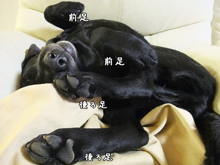 んん??