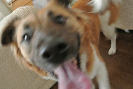 ドアップ!