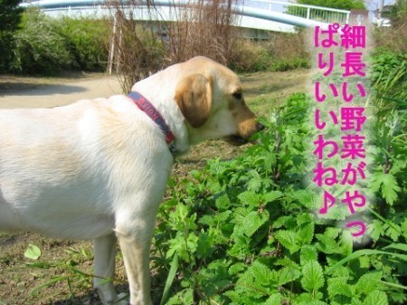 画像 1565 Web 表示用 (中)