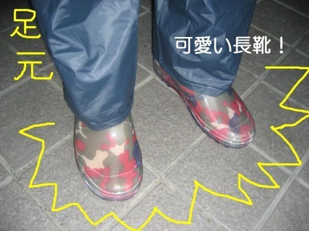 画像 1982