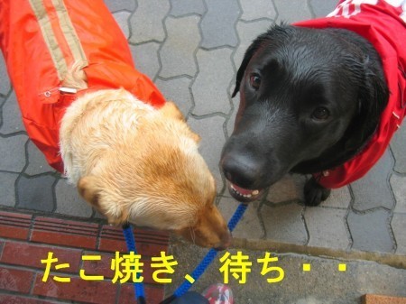 画像 1998