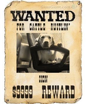 wantedposter2
