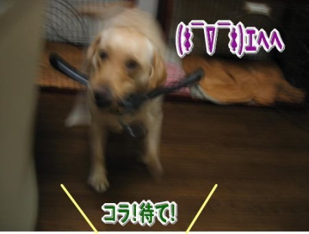 紫音9.jpg10