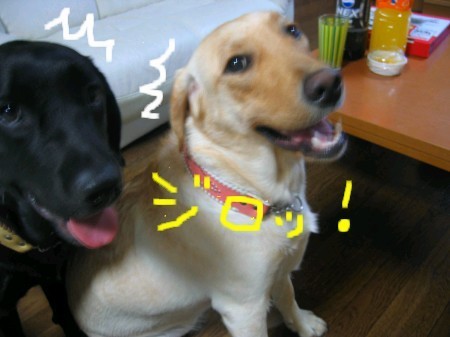 画像 2533