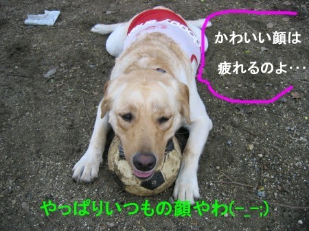 画像 2462
