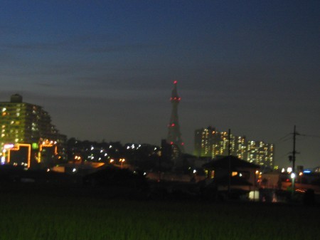 画像 2611