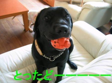 画像 2713