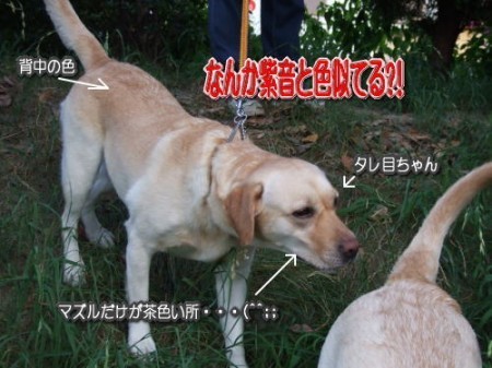 8-7散歩5