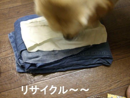 DSCF0637