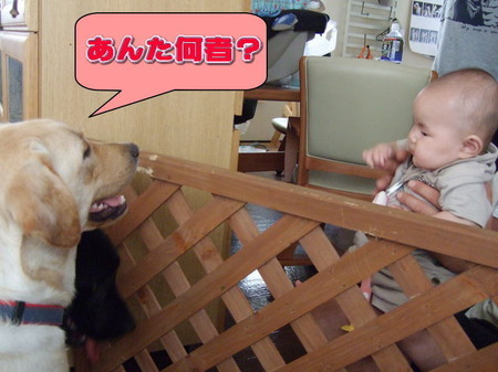 あいさつ1