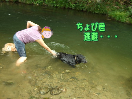 川遊び 逃避